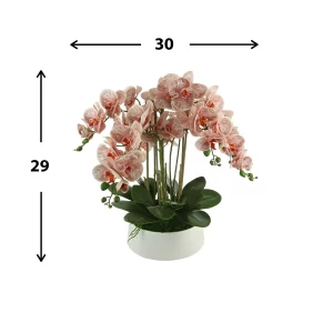 Orchid Floral Arrangement in a Round Ceramic Planter
