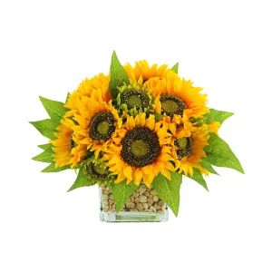 Sunflower Arrangement in a Square Glass Vase with Stones