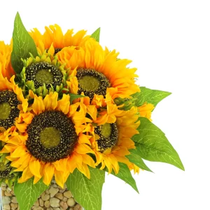 Sunflower Arrangement in a Square Glass Vase with Stones