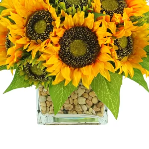 Sunflower Arrangement in a Square Glass Vase with Stones