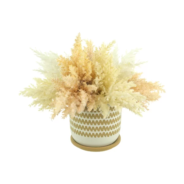 Pampas Arrangement in a Decorative Ceramic Pot