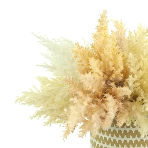 Pampas Arrangement in a Decorative Ceramic Pot