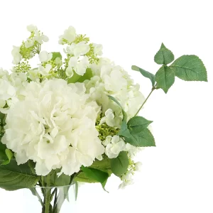 Blooming Hydrangeas in a Glass Vase