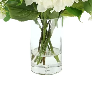 Blooming Hydrangeas in a Glass Vase