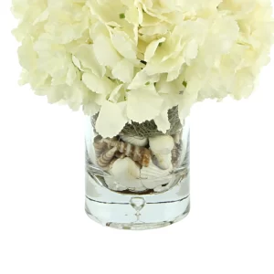 Hydrangea Arrangement in Glass Vase with Shells