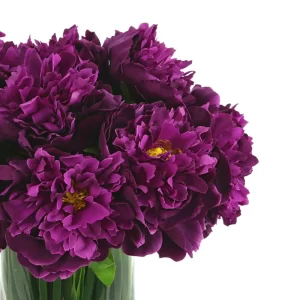 Peony Arrangement in Glass Vase with Grass