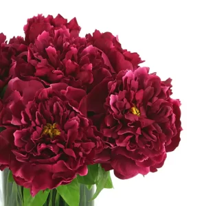 Peony Arrangement in Glass Vase with Grass