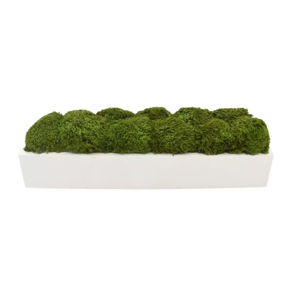 Moss Arrangement in Glossy Rectangular Planter