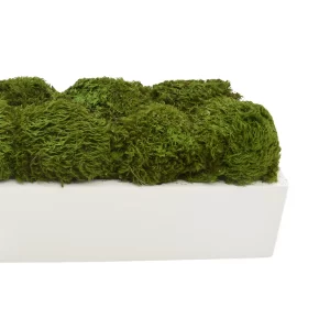 Moss Arrangement in Glossy Rectangular Planter