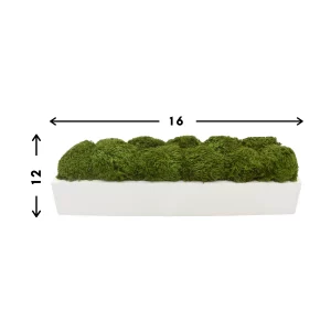 Moss Arrangement in Glossy Rectangular Planter