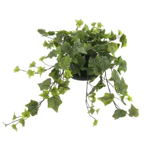 Ivy Arrangement in a Glass Vase