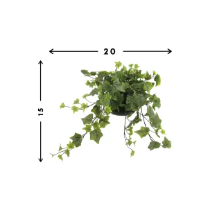 Ivy Arrangement in a Glass Vase