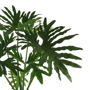 Philo plant Arrangement in a Square Fiberstone Pot