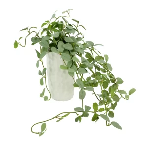 Frosted Ivy Arrangement in Ceramic Vase