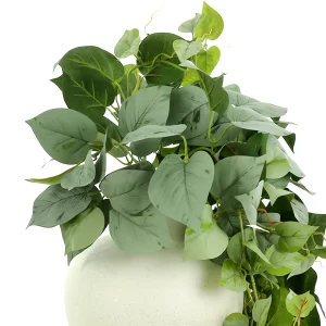 Dusty Ivy Arranged in Round Ceramic Vase
