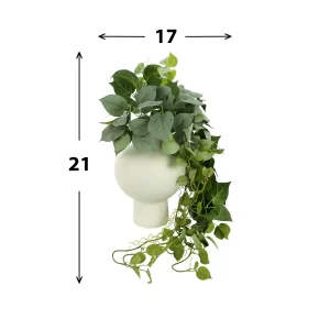 Dusty Ivy Arranged in Round Ceramic Vase