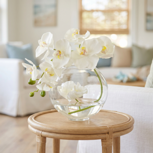 Orchid Arranged in a Glass Vase