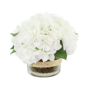 Hydrangea Arranged in a Glass Vase