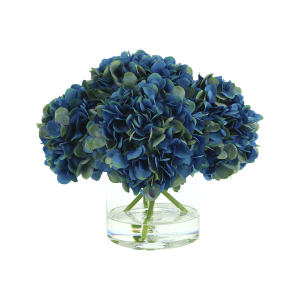 Hydrangea Arranged in Glass Vase