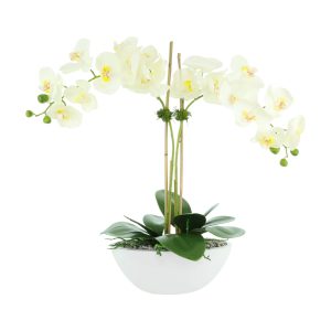 Orchid in Fiberstone Planter with Rocks