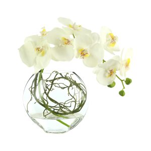 Orchid Arrangement in a Glass Vase with Vines