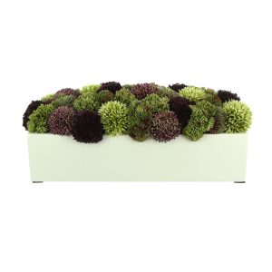 Assorted Sedum and Allium in a Fiberstone Planter