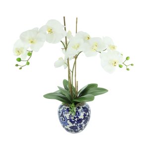 Orchid Floral Arrangement in a Decorative Ceramic Vase