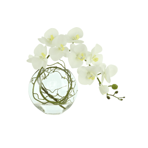 Orchid Floral in a Glass Vase