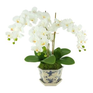 Orchid Arrangement in Decorative Vase
