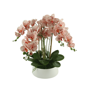 Orchid Floral Arrangement in a Fiberstone Planter
