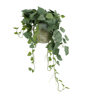Frosted Ivy Arrangement in a Ceramic and Stone Pot