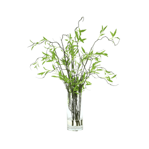 Willow Branch Arrangement in a Glass Vase