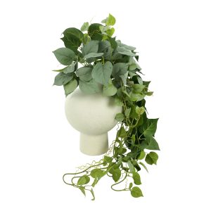 Pathos Arrangement in Vase
