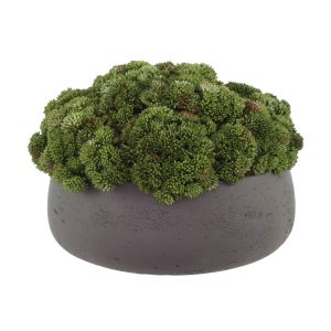 Sedum Arrangement in Fiberstone Planter