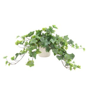 Frosted Ivy in Ceramic Vase